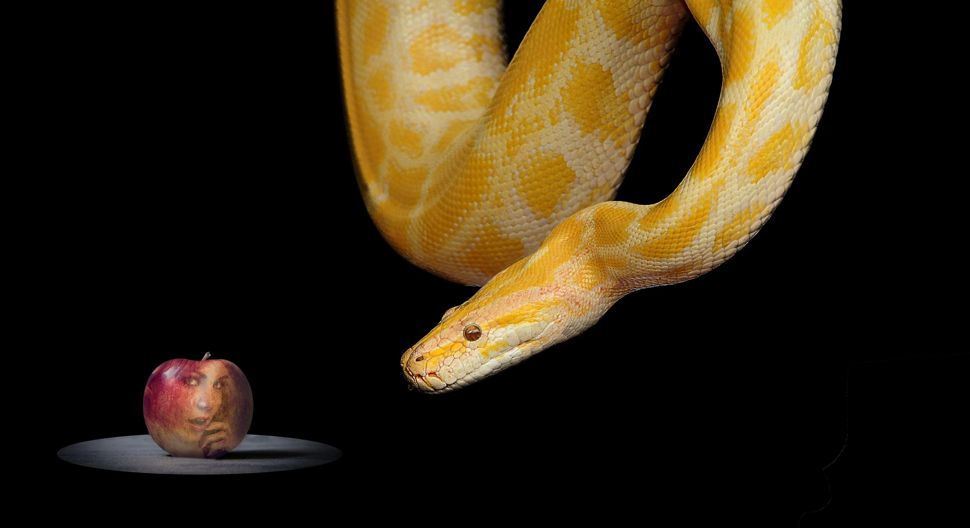 Serpent et pomme