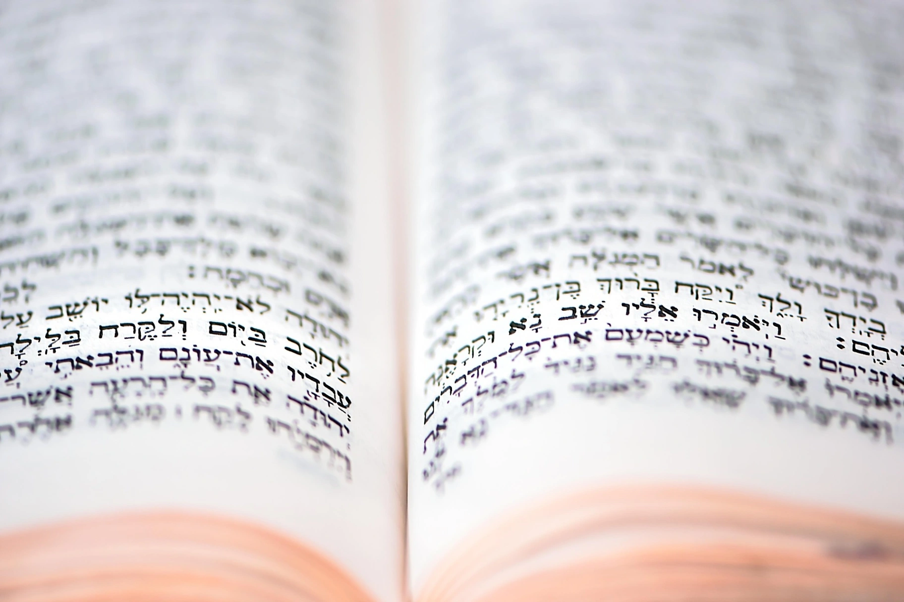 torah